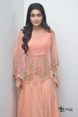 Avantika Mishra At Vaishakham Movie Success meet